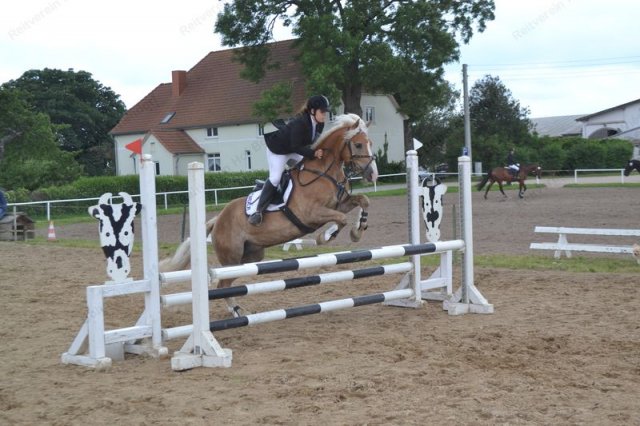 reitertag 2013 80